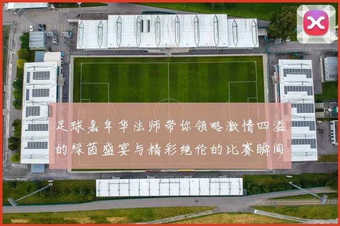 足球嘉年华法师带你领略激情四溢的绿茵盛宴与精彩绝伦的比赛瞬间