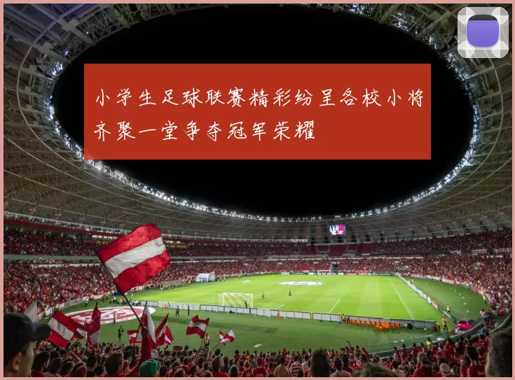 小学生足球联赛精彩纷呈各校小将齐聚一堂争夺冠军荣耀