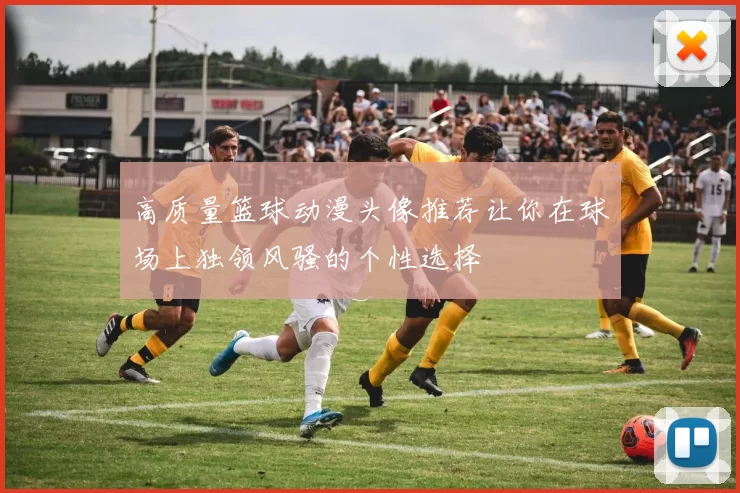 高质量篮球动漫头像推荐让你在球场上独领风骚的个性选择