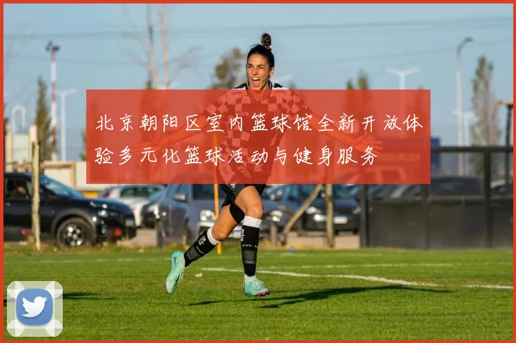 北京朝阳区室内篮球馆全新开放体验多元化篮球活动与健身服务