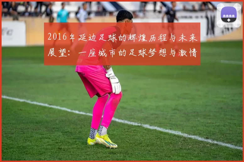2016年延边足球的辉煌历程与未来展望：一座城市的足球梦想与激情